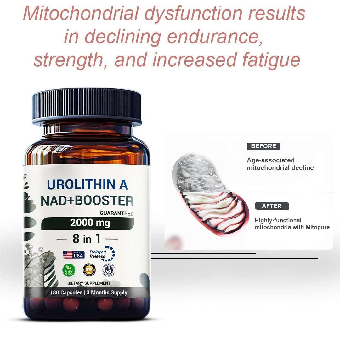 Urolithin A NAD+ Booster supplement bottle with mitochondria diagram, supports energy and endurance