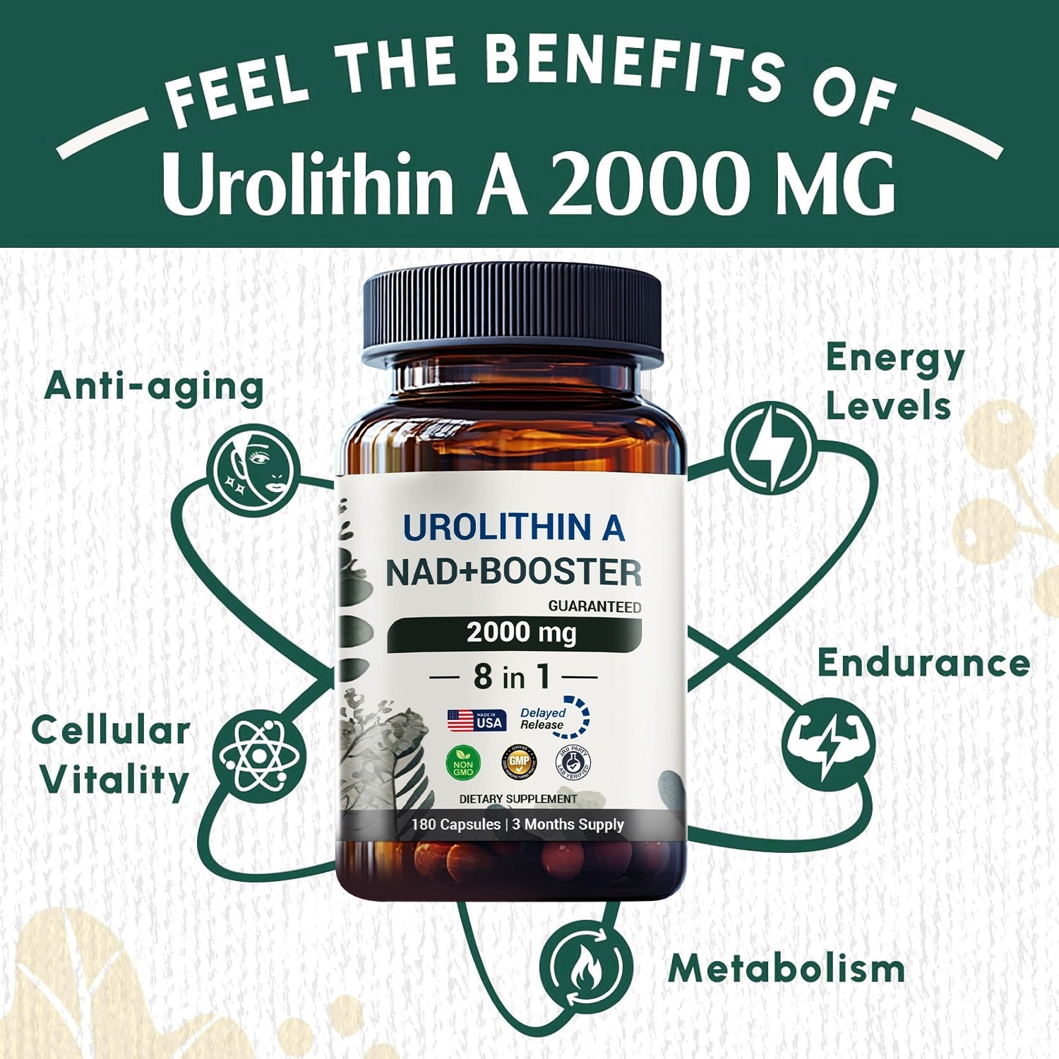 urolithin a supplement benefits