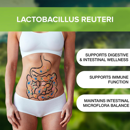 l reuteri benefits & lacto gasseri