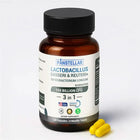 Lactobacillus Reuteri & Gasseri Probiotic | 120 Capsules