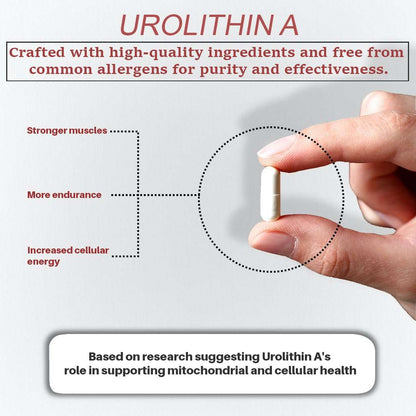 Urolithin A supplement 2000mg - with NAD+ Booster - Energy & Longevity - 180 capsules - Panstellar Shop